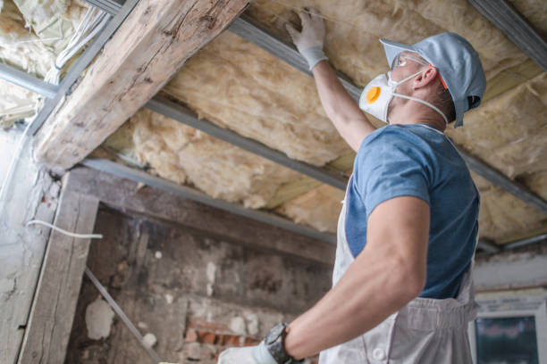 Insulation Inspection Services in Mayfield, PA