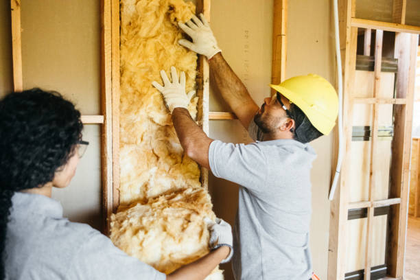 Best Insulation Inspection Services  in Mayfield, PA